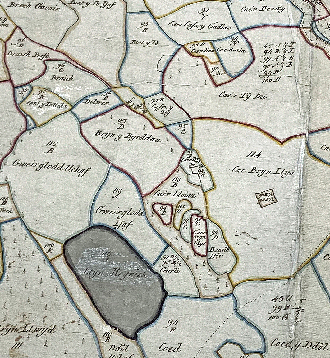 Cae Batin Brynbyrddau Gwrli